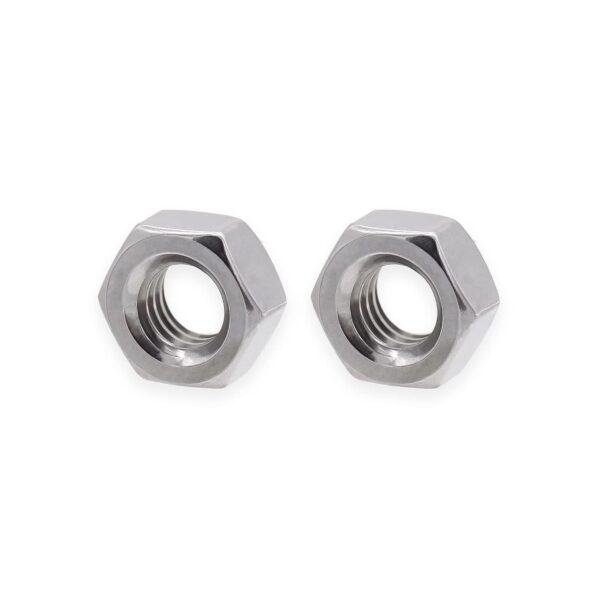 M2 SS Hex Nut