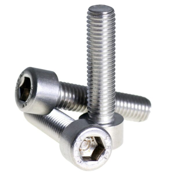 SS Cap Head Screws